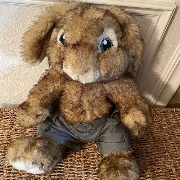 Peter Rabbit 2011 Build a Bear Plush Rabbit - Picture 15 of 15